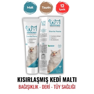 kısır kedi maltı