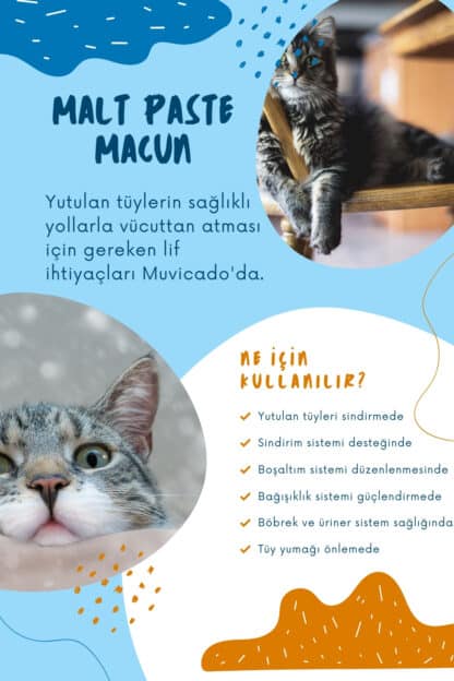 muvicado kedi maltı nedir