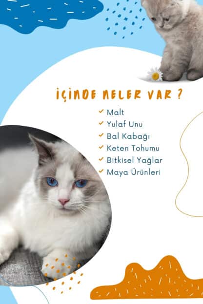 iyi bir kedi maltı içeriğinde neler olmalıdır