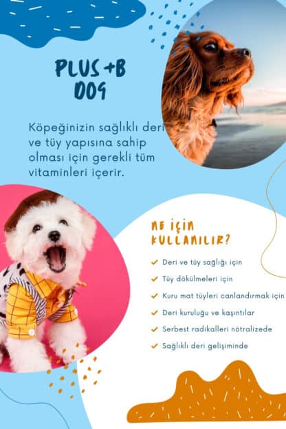 muvicado köpek damlası ne işe yarar